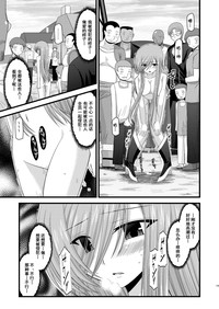 第137頁圖