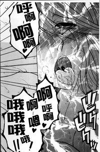 第113頁圖