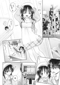 第17页图