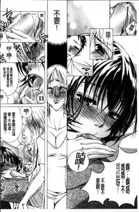 第113頁圖