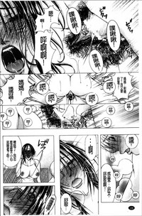 第141頁圖