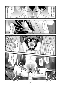 第25页图