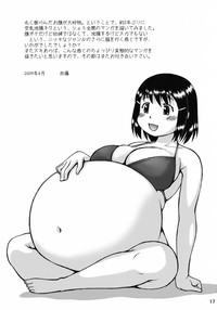 第17页图