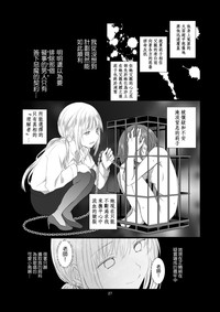 第29頁圖