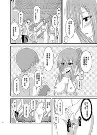 第33页图