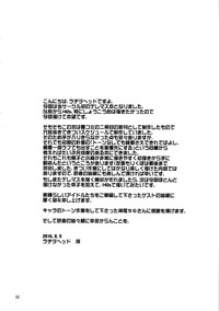 第33页图