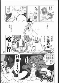 第25页图