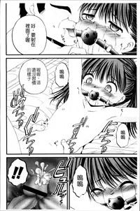 第197頁圖