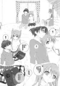 第33页图