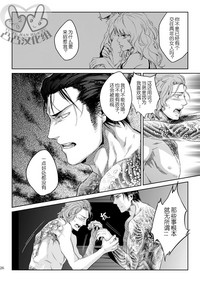 第25頁圖