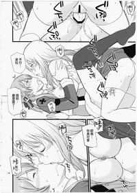 第13页图