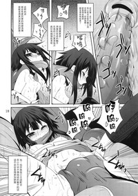 第17页图