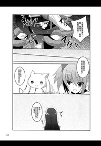 第33页图
