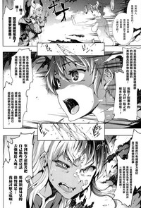 第85頁圖