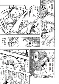 第213頁圖