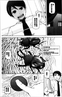 第197頁圖