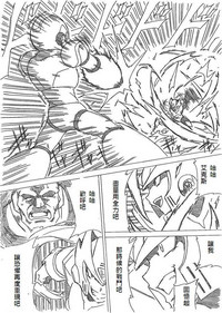 第29頁圖
