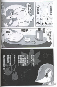 第13頁圖