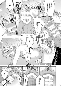 第17页图
