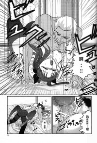 第33頁圖