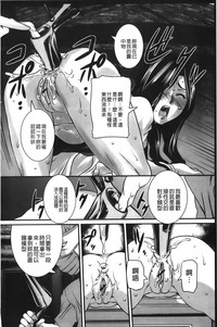 第41頁圖