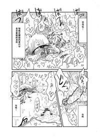 第17页图