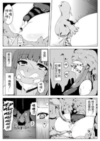 第33页图