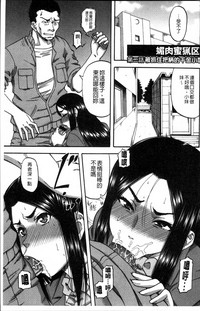 第41頁圖