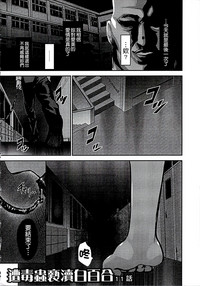 第161頁圖