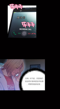 第213頁圖