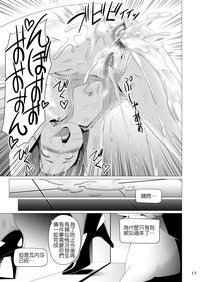 第17页图