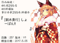 第241頁圖
