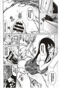 第41頁圖
