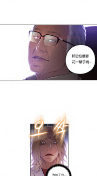 第333页图