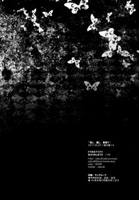 第17页图