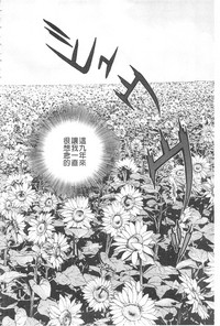 第33頁圖