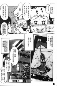 第213頁圖