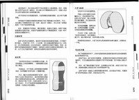 第33页图
