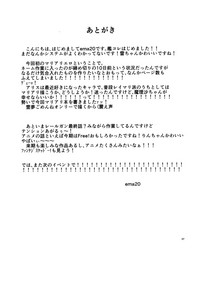 第29頁圖