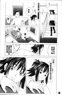 第29頁圖
