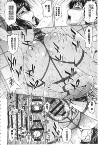 第41頁圖