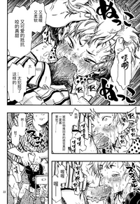 第21頁圖