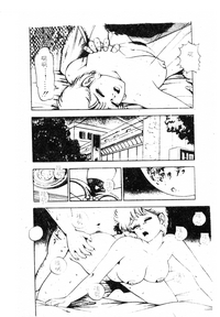 第33頁圖
