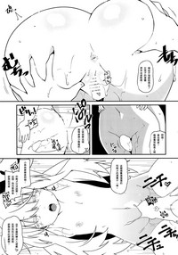 第17页图