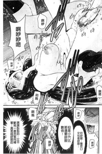 第113頁圖