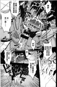 第217頁圖