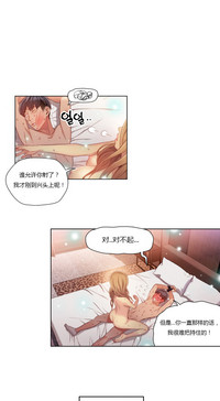 第441頁圖