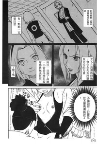 第17頁圖
