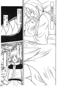 第49頁圖