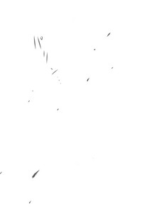 第169頁圖